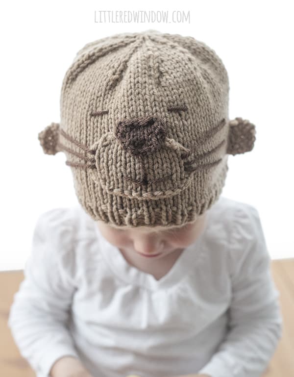 Adorable Otter Hat Knitting Pattern for newborns, babies and toddlers! | littleredwindow.com