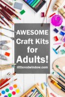 Awesome craft kits for adults