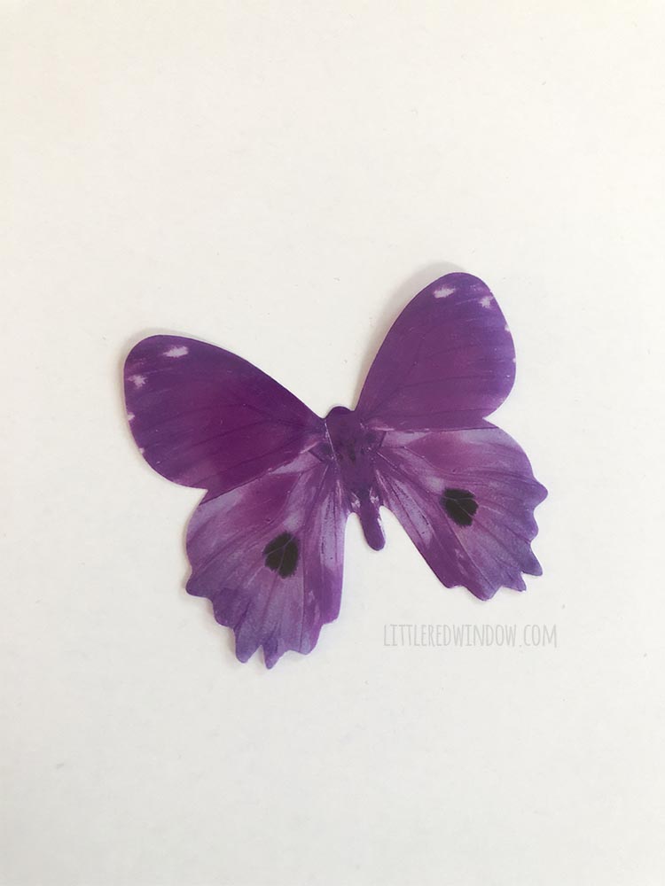 Plastic butterflies are the perfect addition to an adorable DIY butterfly costume