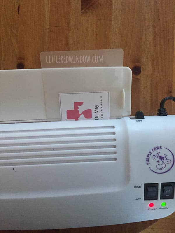 DIY Veterinarian Costume, perfect for your little animal lover for Halloween! | littleredwindow.com