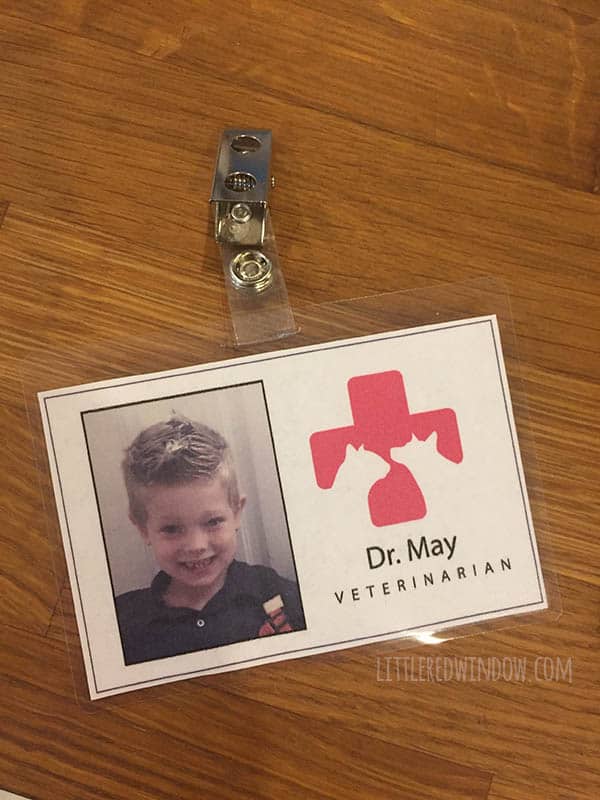 DIY Veterinarian Costume, perfect for your little animal lover for Halloween! | littleredwindow.com