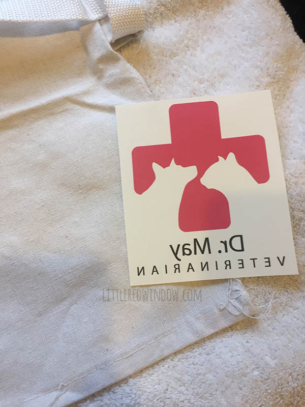 DIY Veterinarian Costume, perfect for your little animal lover for Halloween! | littleredwindow.com