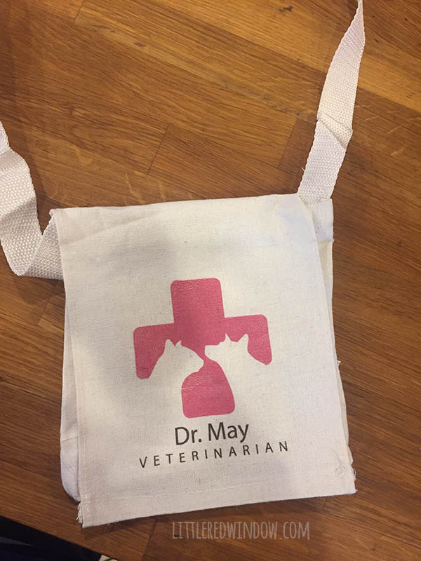 DIY Veterinarian Costume, perfect for your little animal lover for Halloween! | littleredwindow.com