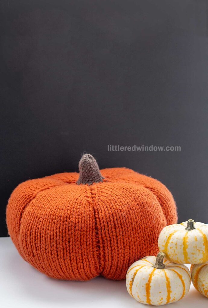 A knitted, large orange pumpkin with a brown stem stands in front of a solid black background. To its right, there are three small white and orange mini pumpkins. The text
