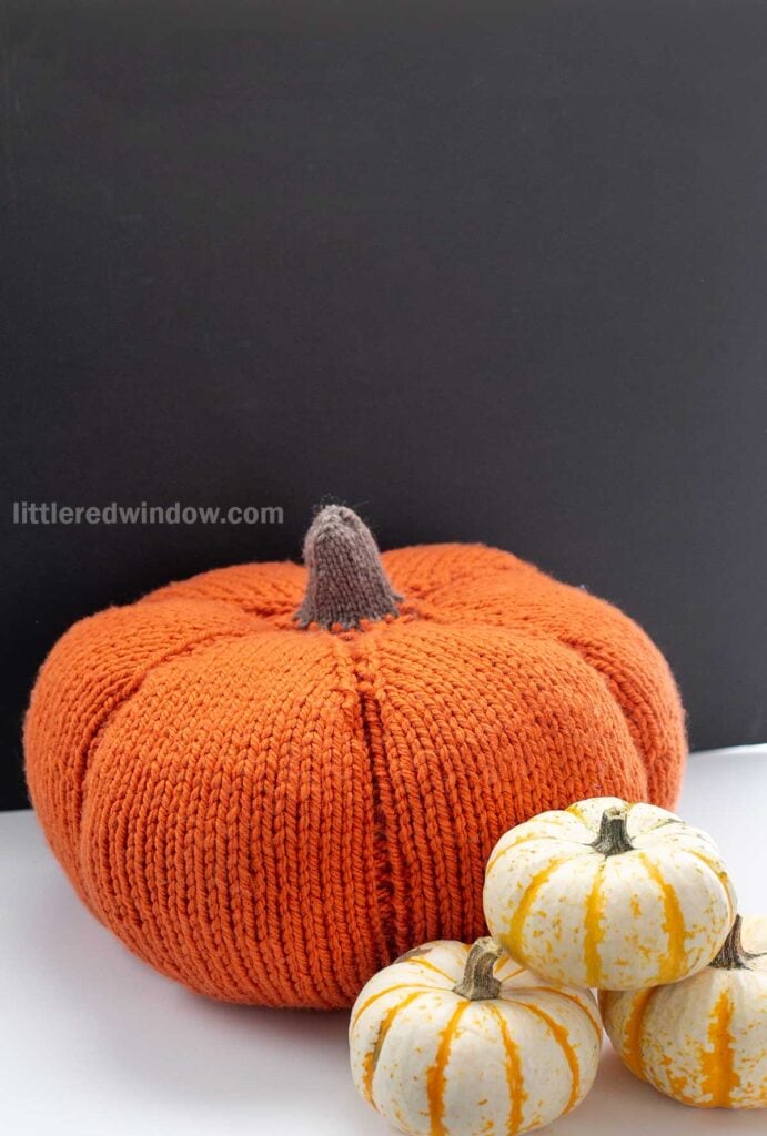 A knitted, large orange pumpkin with a brown stem stands in front of a solid black background. To its right, there are three small white and orange mini pumpkins. The text