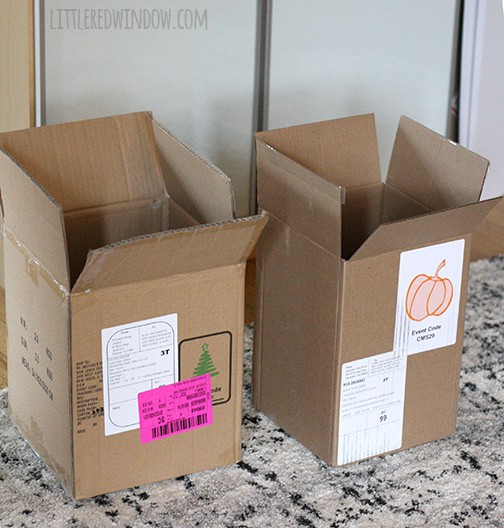 Two tall rectangular cardboard boxes