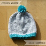 Winter Pom Pom Hat