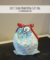 3 Seam Drawstring Gift Bag