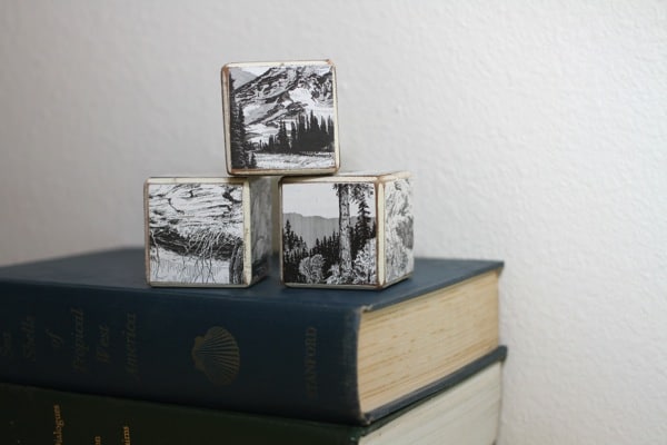 recycled-book-craft-blocks-recycled-art-tutorial-trashy-crafter-recycled-craft-ideas9