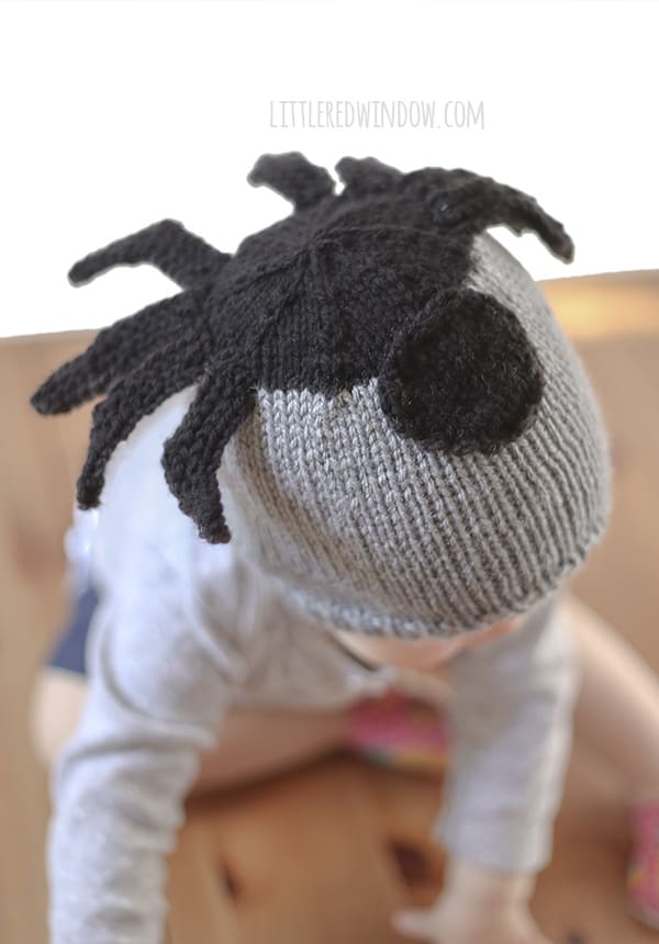 Silly Spider Hat Free Knitting Pattern for newborns, babies and toddlers!! | littleredwindow.com