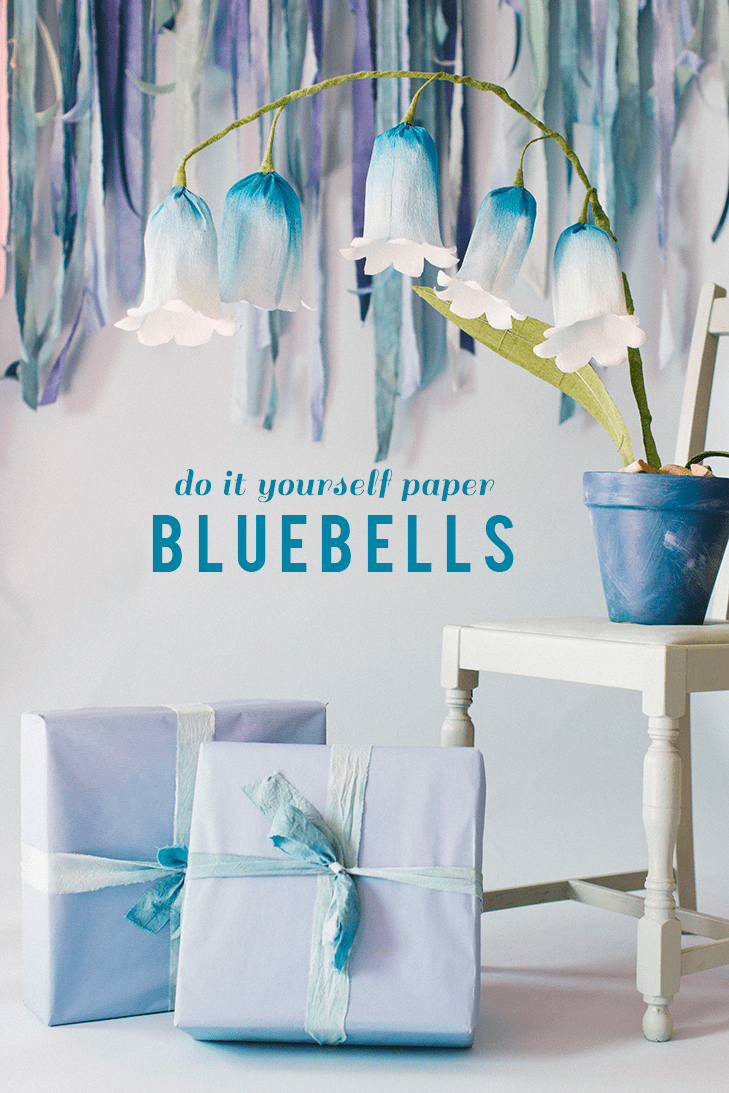 paper-bluebells